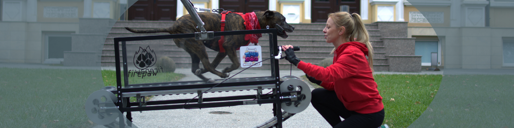 heroimage-home-real3-01