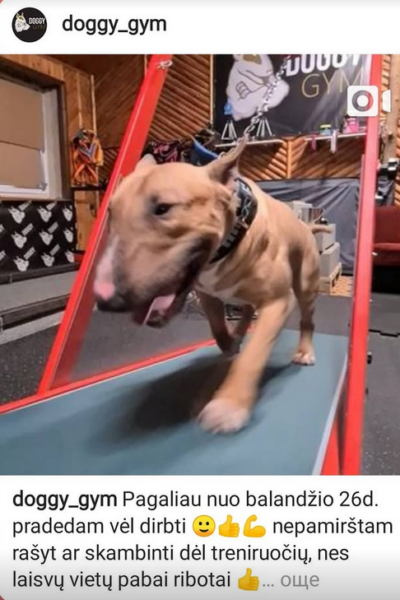 Screenshot 2025-03-20 114833