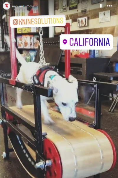 Screenshot 2025-03-20 115737 Screenshot 2025-03-20 115737