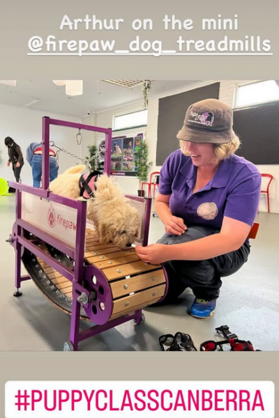 Screenshot 2025-03-20 115917 Screenshot 2025-03-20 115917