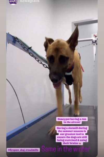 20a25e35-4726-4f68-97fd-716a6acd98e8