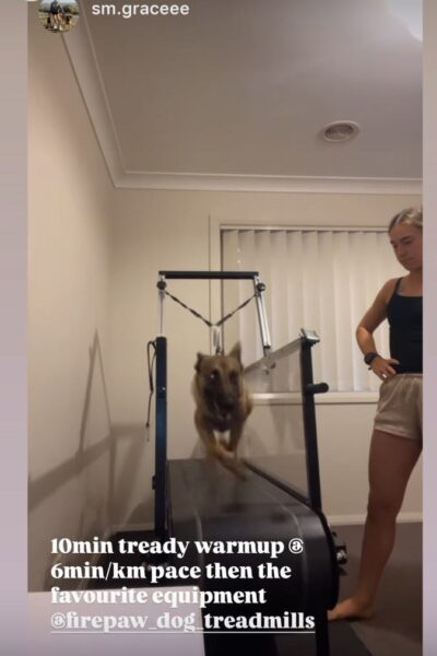 2a99248e-6baf-4a6d-9226-2614f8f31abd