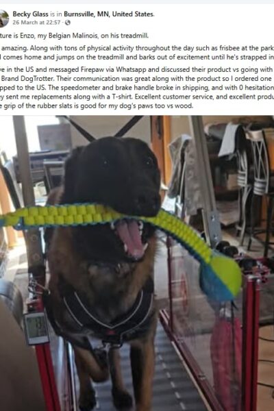 546f850a-32af-43f0-b765-2ebf6d64bb25