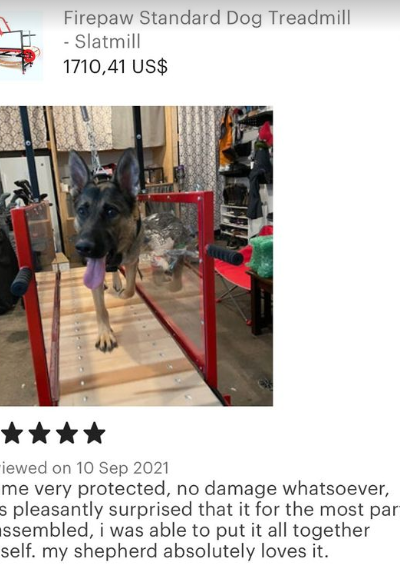 Screenshot 2024-09-18 141732