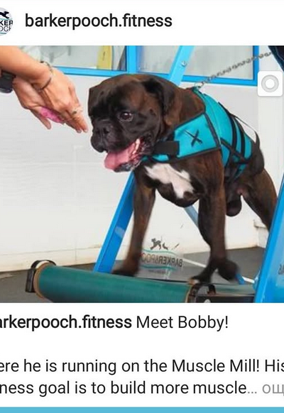 Screenshot 2025-03-20 114819