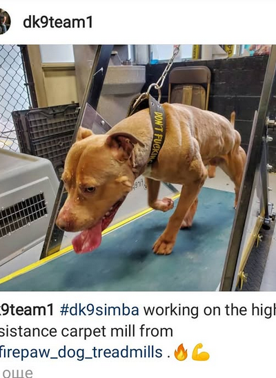 Screenshot 2025-03-20 114904