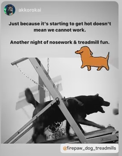 Screenshot 2025-03-20 115604