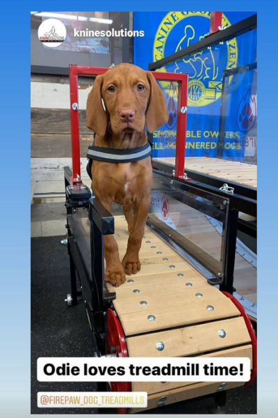 Screenshot 2025-03-20 115747