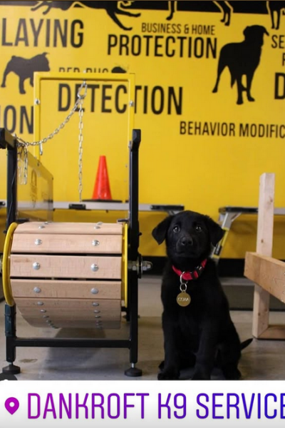 Screenshot 2025-03-20 115800