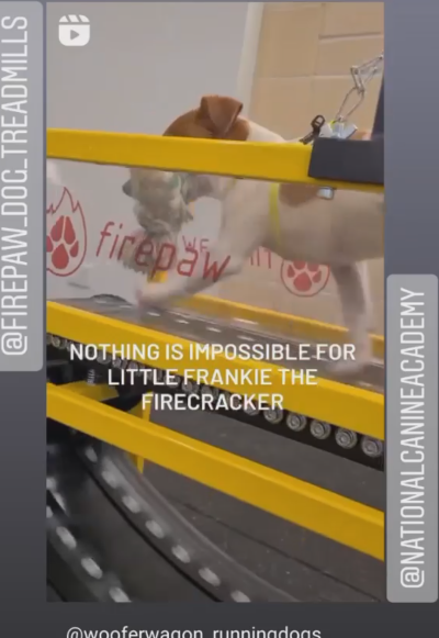 Screenshot 2025-03-20 115900