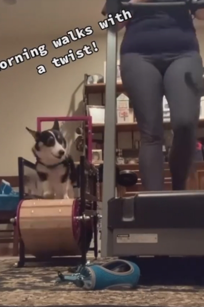 Screenshot 2025-03-20 115936