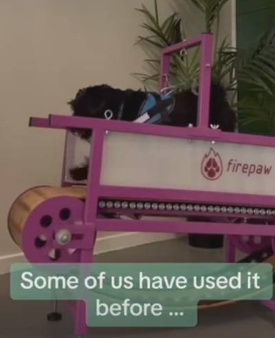 Screenshot 2025-03-20 120014