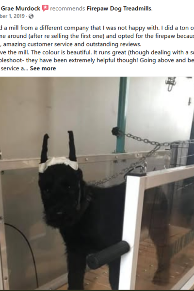 Screenshot 2025-04-03 110913