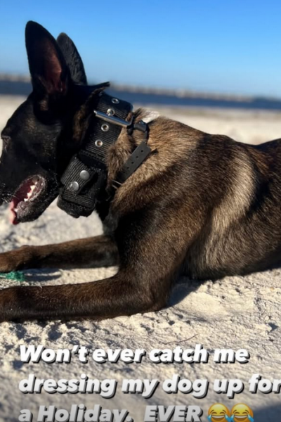 Screenshot 2025-04-03 113921