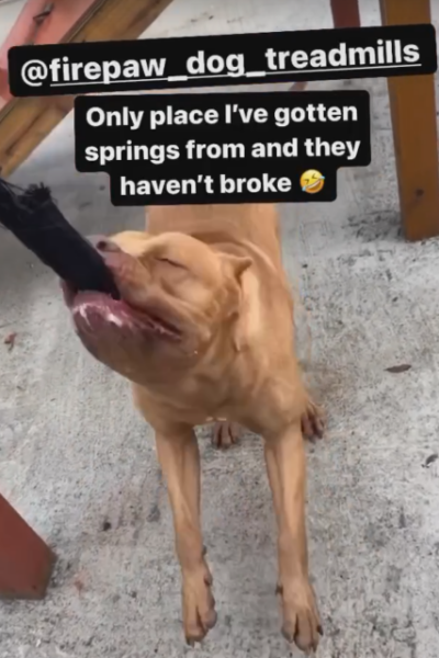 Screenshot 2025-04-03 114044