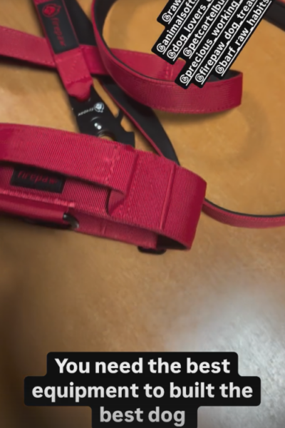 Screenshot 2025-04-03 114142