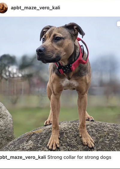 Screenshot 2025-04-03 114202