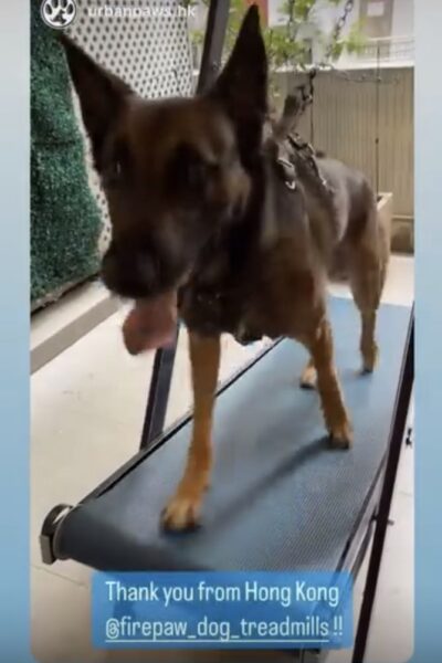 c627d60f-a0ce-463b-aa70-3f79d36e0a1d