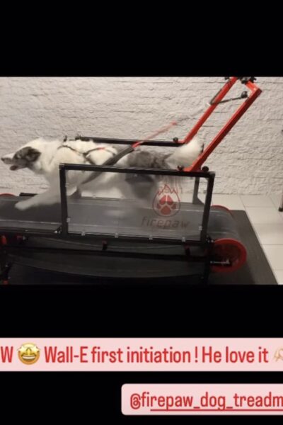 cd87d24d-0683-4853-824b-c1f11161c212